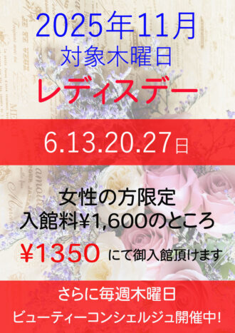 2025年11月レディスデー