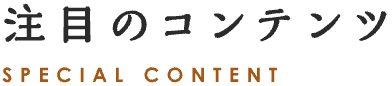 注目のコンテンツ SPECIAL CONTENT