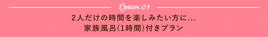 オプション1