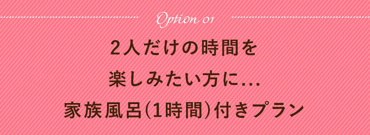オプション1